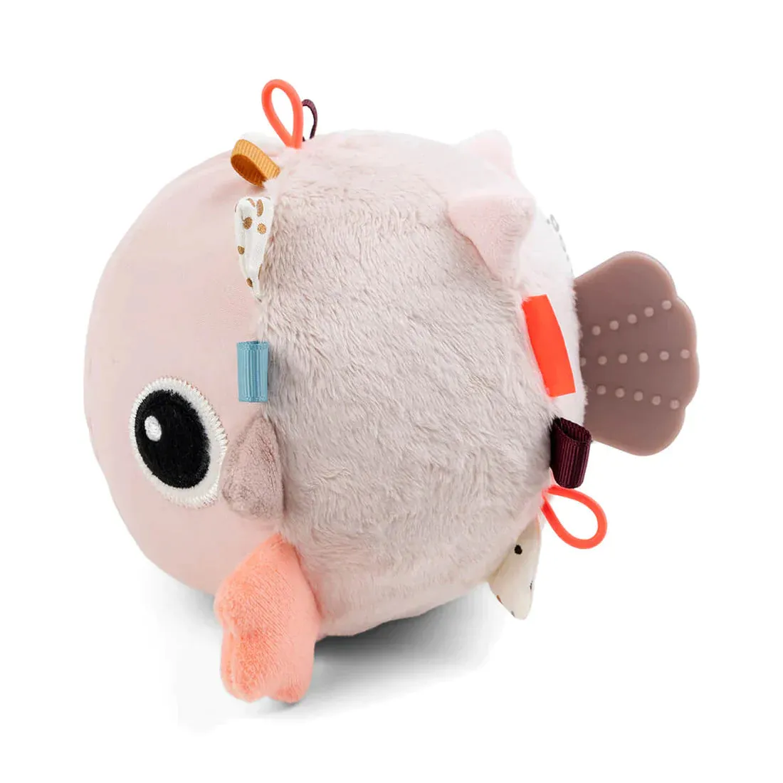 Activity Ball | Puffee Powder