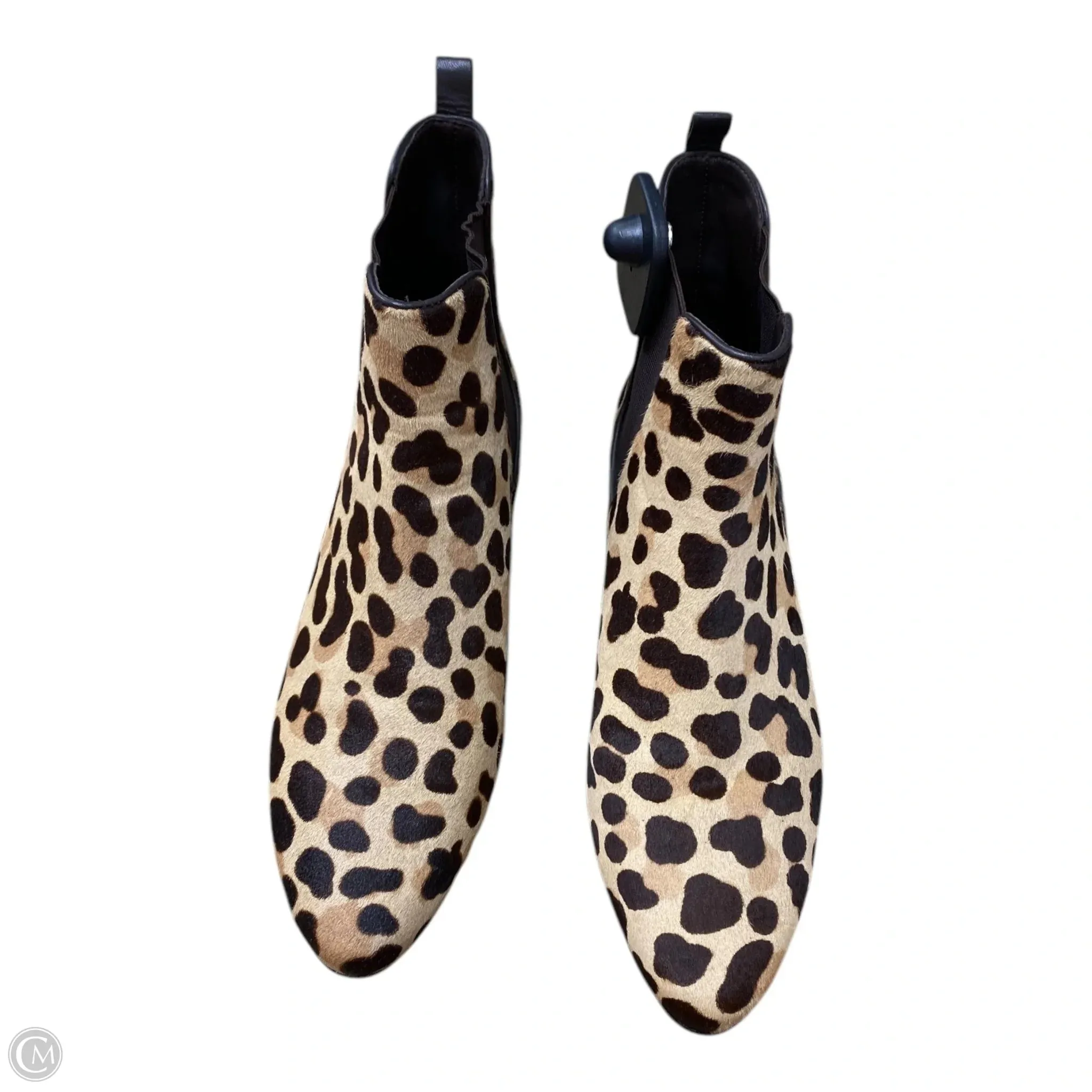 Boots Designer By Tory Burch In Leopard Print, Size: 7.5