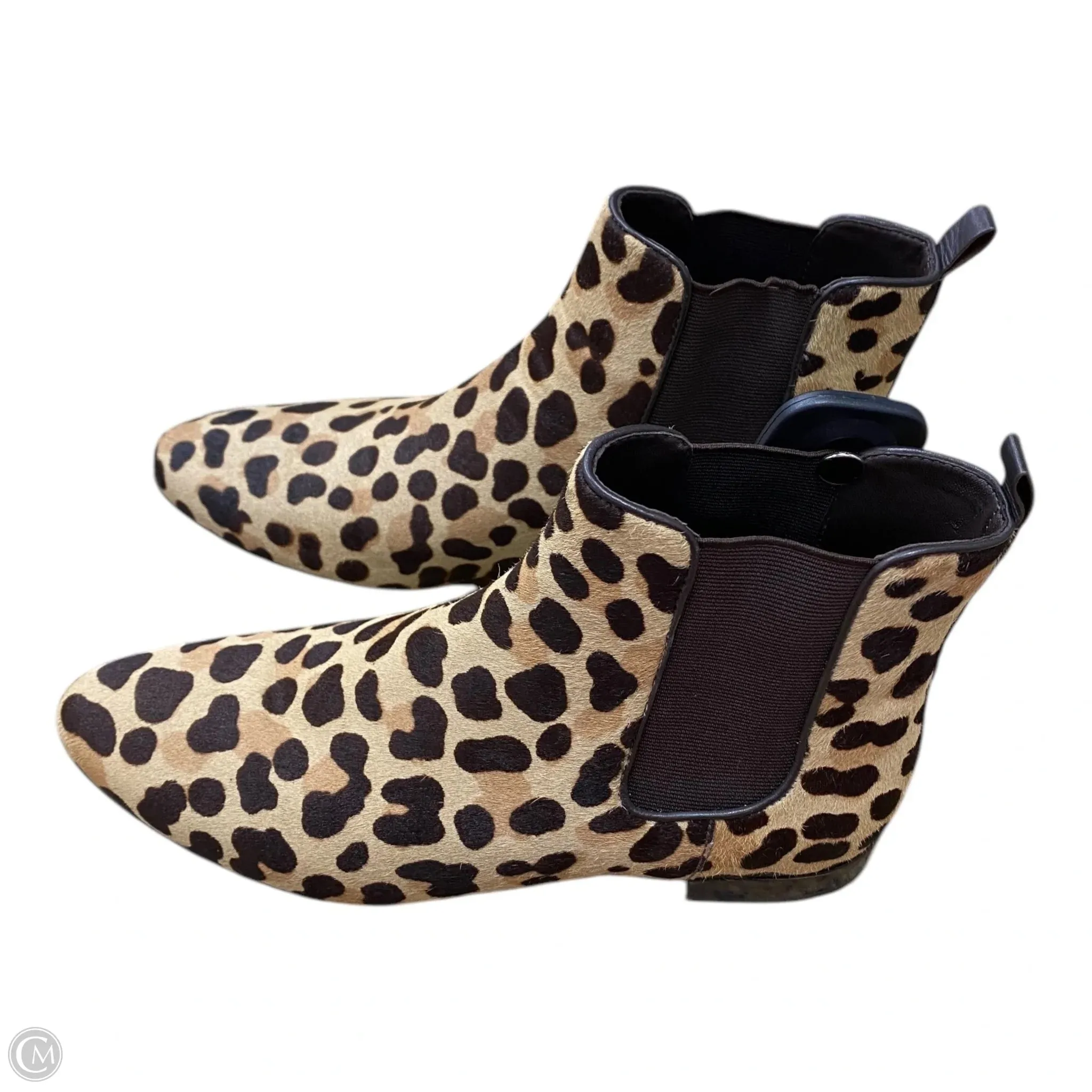 Boots Designer By Tory Burch In Leopard Print, Size: 7.5