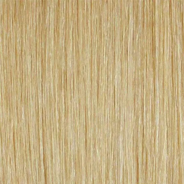 Mane Concept Red Carpet Synthetic Lace Wig - RCP7009 - NIKIA - Clearance